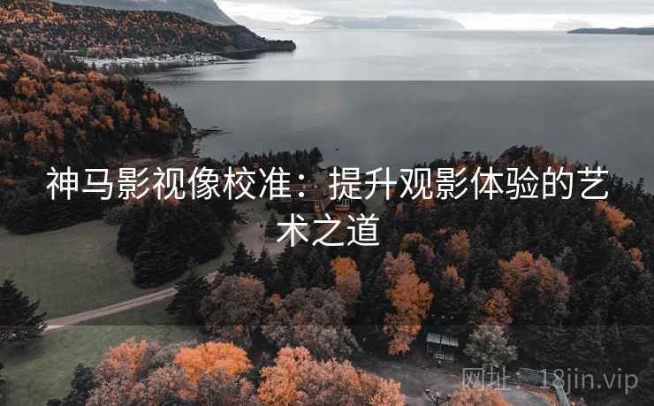 神马影视像校准：提升观影体验的艺术之道